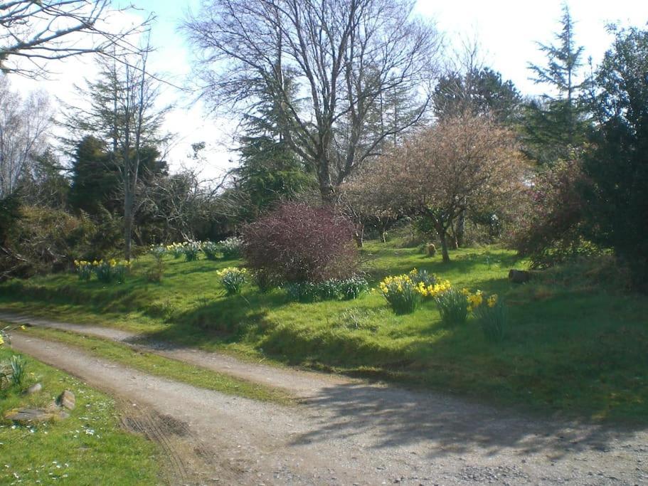 Innisfreedom Cabin Sligo Exteriör bild